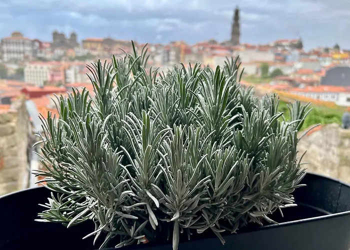 Urban Casa Da Portela Διαμέρισμα *