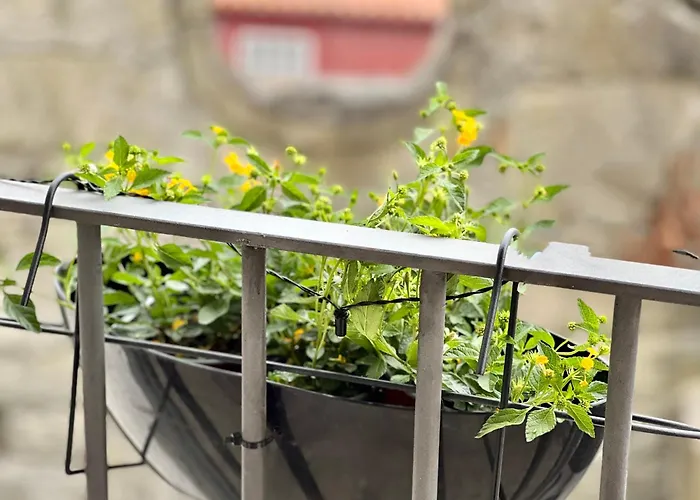 Διαμέρισμα Urban Casa Da Portela *