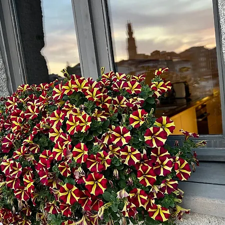 Urban Casa Da Portela * Porto