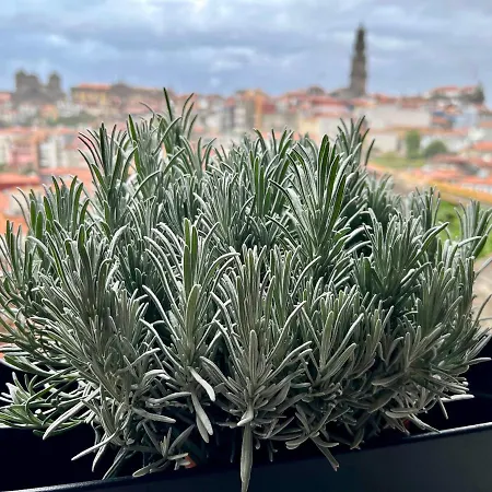 Urban Casa Da Portela דירה *
