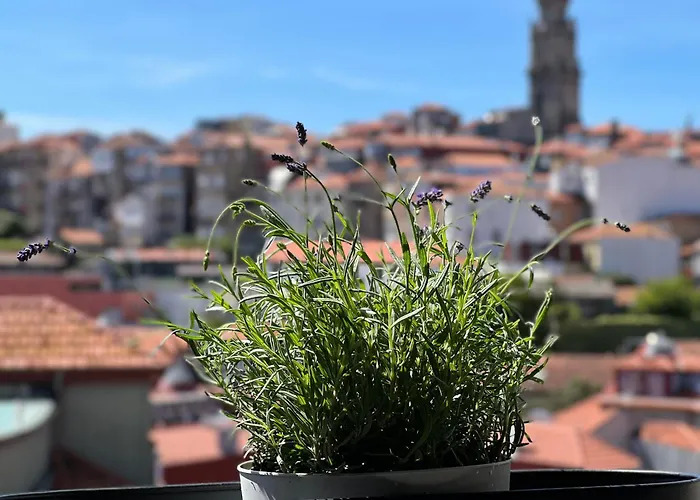 Urban Casa Da Portela Daire *