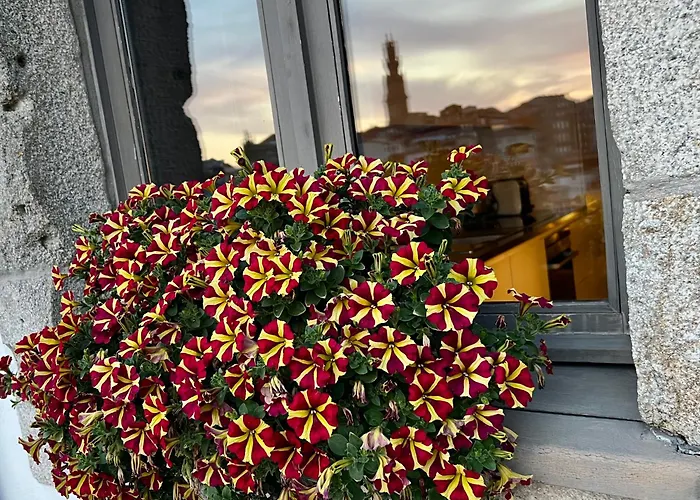 어번 카사 다 포르텔라 * 포르투