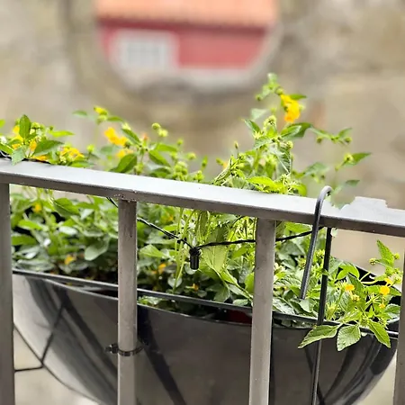 Lägenhet Urban Casa Da Portela *