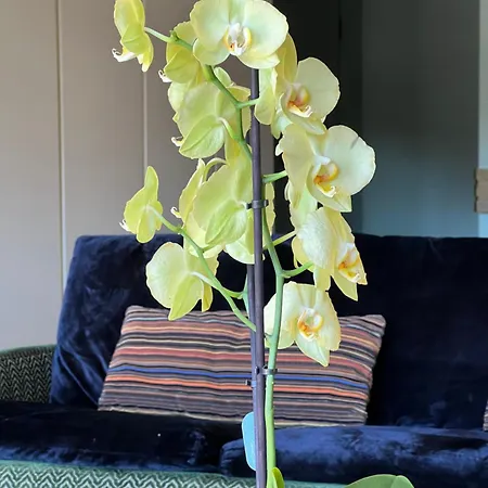 Urban Casa Da Portela