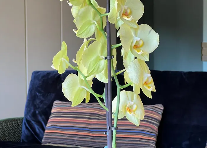 Urban Casa Da Portela