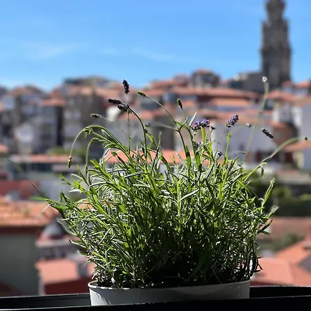 Urban Casa Da Portela Apartmán *